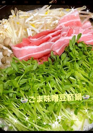 ☆ごま味噌豆苗鍋ウェイパーver.☆-レシピのメイン写真