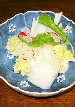 白菜サラダ-レシピのメイン写真