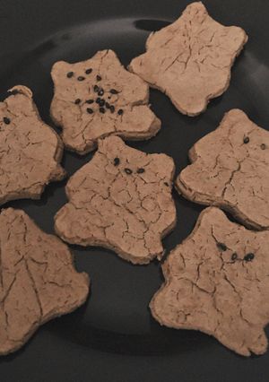 おからのしっとりクッキー-レシピのメイン写真