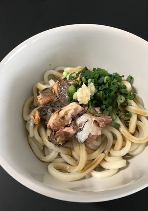 超簡単サバ缶冷やしうどん-レシピのメイン写真