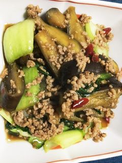 【お手軽】ナスとチンゲン菜のピリ辛炒め-レシピのメイン写真