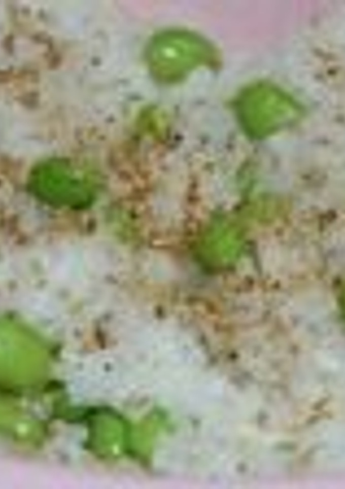 めちゃうま枝豆ご飯　簡単　美味しい　-レシピのメイン写真