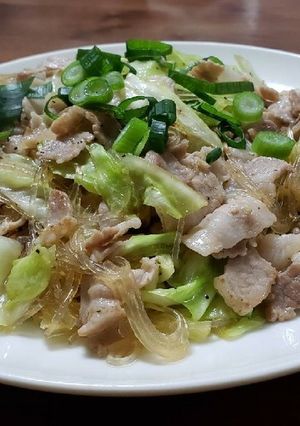 豚肉とキャベツの春雨炒め-レシピのメイン写真