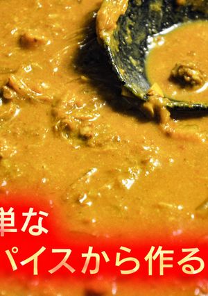 実は簡単なスパイスから作るインドカレー-レシピのメイン写真