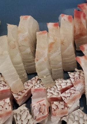 鯛の昆布締め-レシピのメイン写真