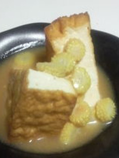 トースターで作る厚揚げステーキ-レシピのメイン写真