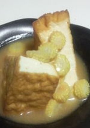 トースターで作る厚揚げステーキ-レシピのメイン写真