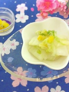 ポリ袋で簡単☆白菜のさっぱりサラダ漬け♬-レシピのメイン写真