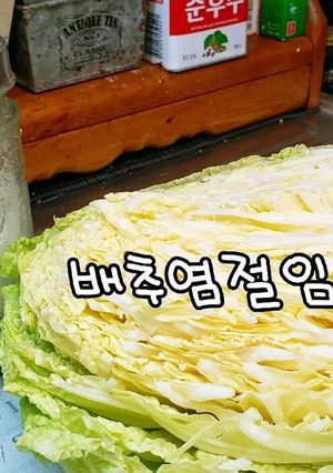 白菜の塩漬(白菜キムチを漬ける前の工程)-レシピのメイン写真
