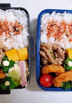 ☆高校生娘と小学生息子のお弁当☆173-レシピのメイン写真