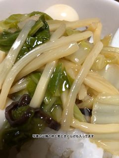ヘルシーベジのみ中華丼-レシピのメイン写真