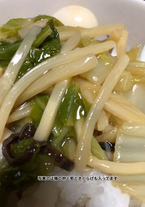 ヘルシーベジのみ中華丼-レシピのメイン写真
