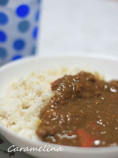 うちのヘルシーおろしカレー-レシピのメイン写真