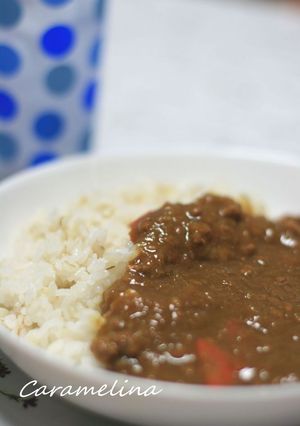 うちのヘルシーおろしカレー-レシピのメイン写真
