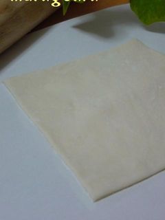 手作り☆春巻き&餃子の皮☆-レシピのメイン写真