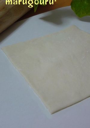 手作り☆春巻き＆餃子の皮☆-レシピのメイン写真