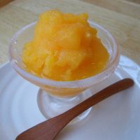 基本からアレンジまで！思わずつくりたくなる「オレンジシャーベット