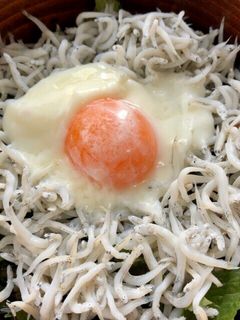 ごはんに乗せるだけ釜揚げしらす丼-レシピのメイン写真