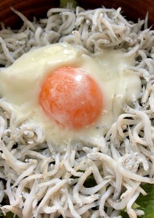 ごはんに乗せるだけ釜揚げしらす丼-レシピのメイン写真
