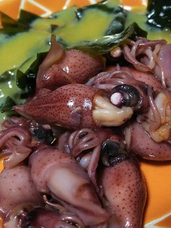 ボイルホタルイカの酢味噌あえ-レシピのメイン写真