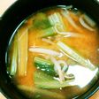 速攻完成!小松菜ともやしのお味噌汁