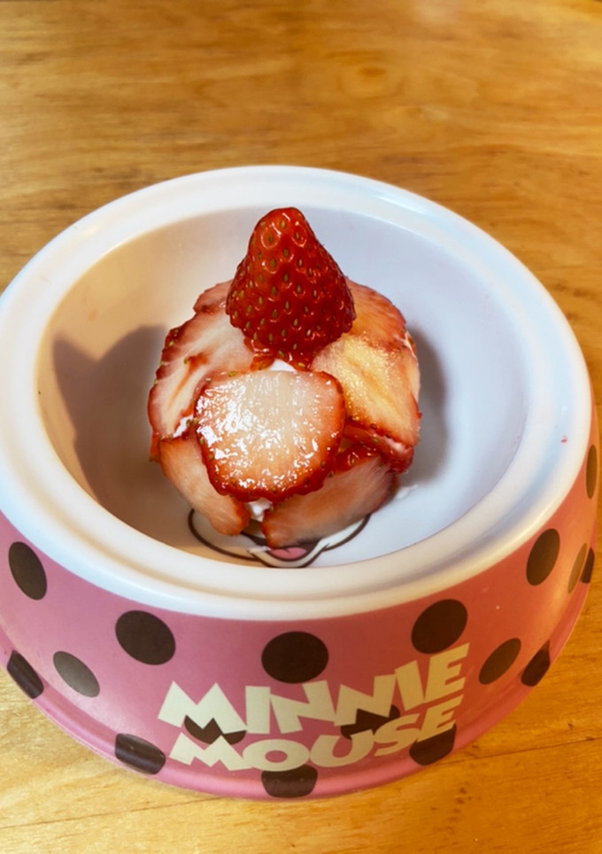 いちごのケーキ（犬用）-レシピのメイン写真