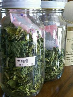 ドライ!大根葉!-レシピのメイン写真