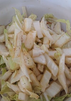 白菜の塩ダレサラダ-レシピのメイン写真