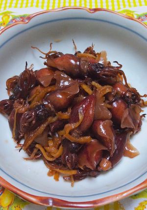 つくだ煮(ほたるいか、しょうがで)-レシピのメイン写真