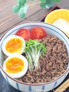 【基本の肉そぼろ】肉そぼろ丼-レシピのメイン写真