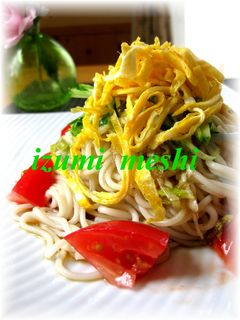 夏のぶっかけ☆冷やしそうめん-レシピのメイン写真