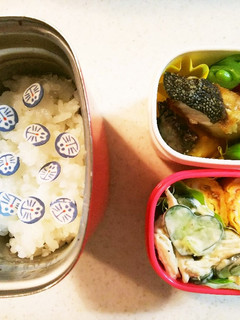 タンパク質多めお弁当⑱ブリの塩焼き-レシピのメイン写真