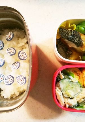 タンパク質多めお弁当⑱ブリの塩焼き-レシピのメイン写真