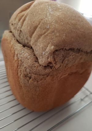 はったい粉食パン-レシピのメイン写真