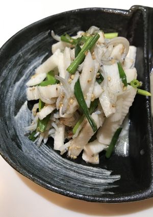 山芋とシラスのサラダ-レシピのメイン写真