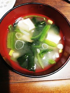 ほうれん草&豆腐の味噌汁-レシピのメイン写真