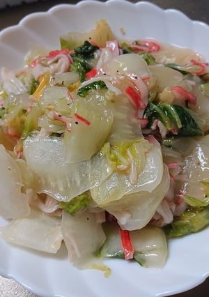 白菜の生姜炒め煮-レシピのメイン写真