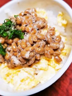 卵納豆ご飯-レシピのメイン写真