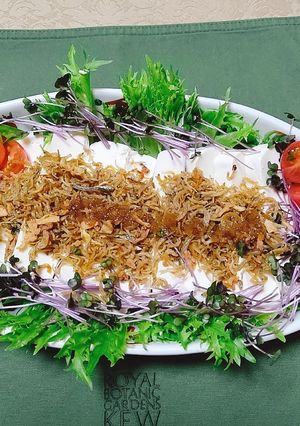 じゃこ・フライドオニオン乗せ豆腐サラダ-レシピのメイン写真