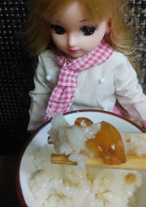 リカちゃん♡煮こごり(ぼんじり)ごはん-レシピのメイン写真