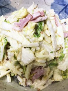 白菜サラダ-レシピのメイン写真