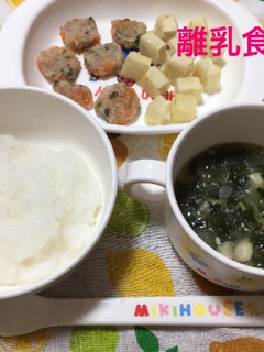 9ヶ月☆蓮根餅 豆腐ステーキ 味噌汁-レシピのメイン写真