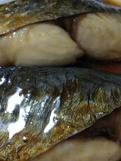 寒さわらの照焼き-レシピのメイン写真