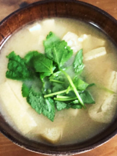 豆腐と油揚げの味噌汁-レシピのメイン写真