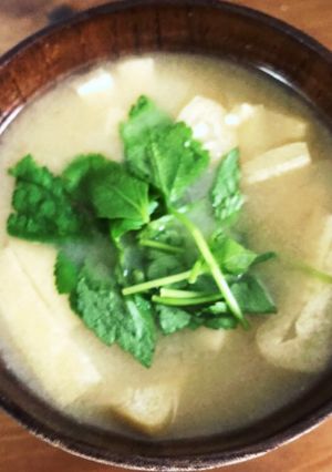 豆腐と油揚げの味噌汁-レシピのメイン写真