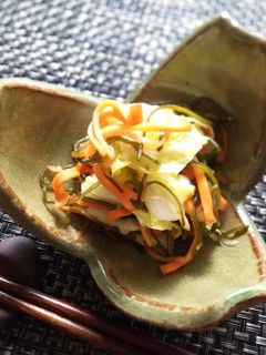 白菜の浅漬け♪♪-レシピのメイン写真