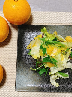 八朔のサラダ-レシピのメイン写真