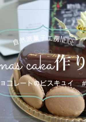 ビスキュイショコラ-レシピのメイン写真