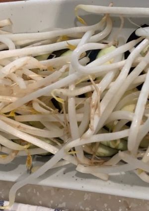 ナスと大量のもやし＊レンジ簡単調理-レシピのメイン写真