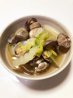 アサリと白菜の酒蒸し-レシピのメイン写真